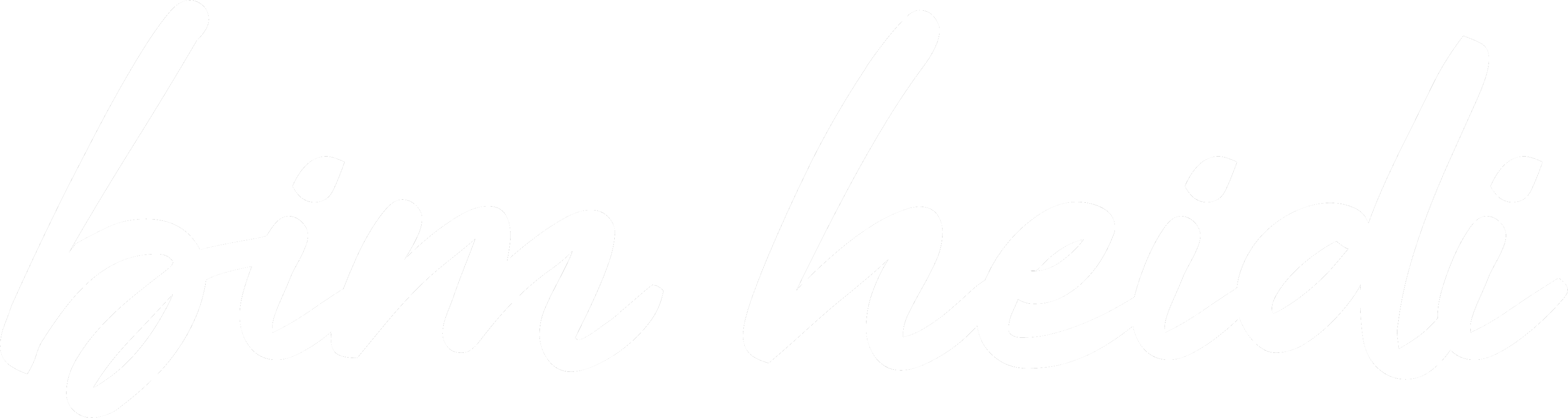 logo-bim-heidi.png